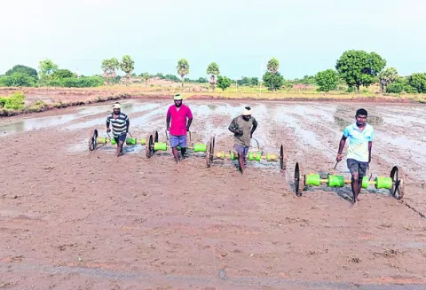 డ్రమ్