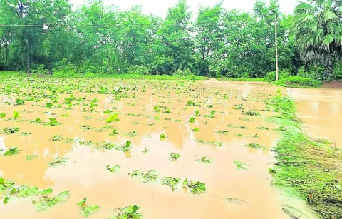 వరదనీ