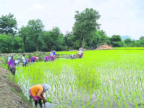 45 శాతం అధిక వర్షం