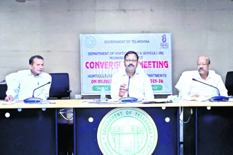 లక్ష్యం మేరకు ఆయిల్‌పామ్‌ సాగు చేపట్టాలి
