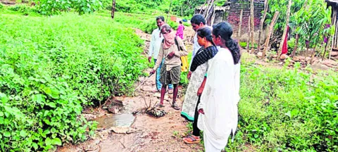 జీవి 