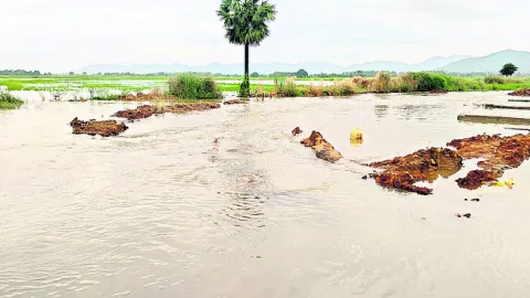 బాహ్య ప్రపంచానికి దూరం 