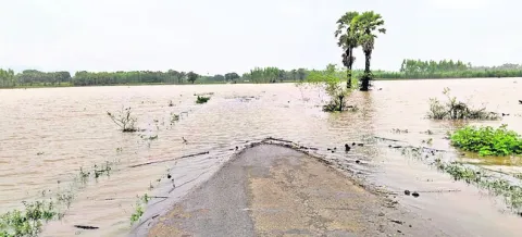 వరద గ