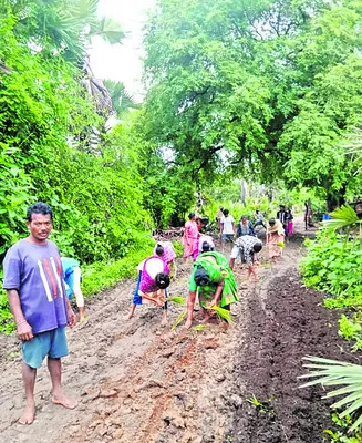 రహదారిపై నాట్లు వేసి నిరసన
