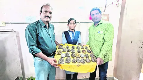వెబినార్‌లో తిరుమలాయపాలెం విద్యార్థిని