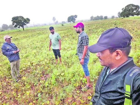 విద్య