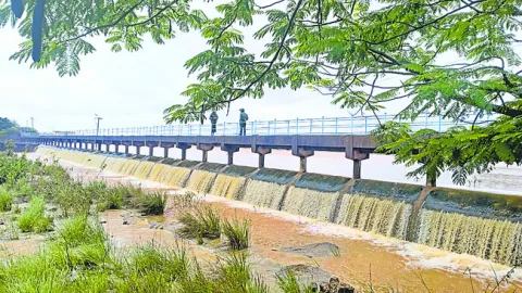 వానలే
