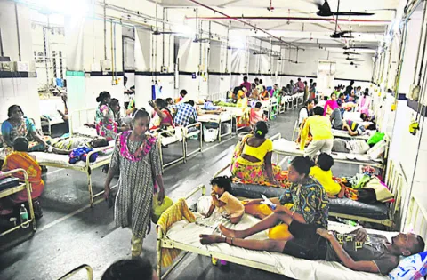 వణికిస్తున్న జ్వరాలు