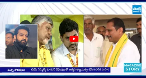 Chandrababu And Pawan Kalyan Silence On TDP Leader Comment On Jr NTR 1