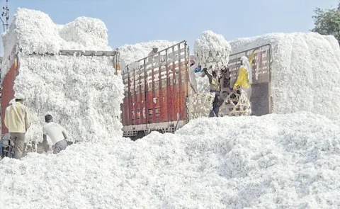 Import duty on raw cotton waived off till September-end