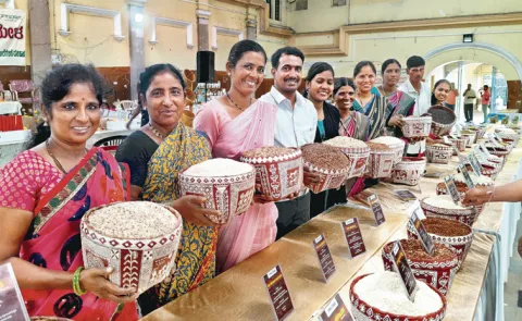 sagubadi 23varieties of rice now honoured with a GI Tag in india