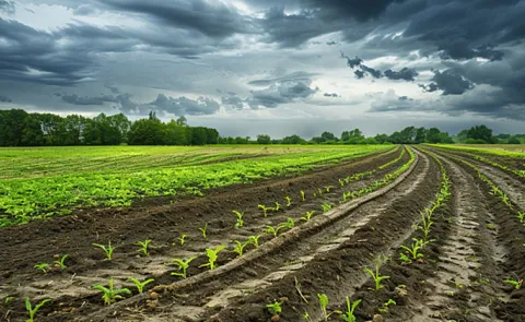 Sagbadi Weather based alerts f to the farmers