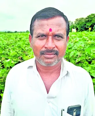 పత్తి
