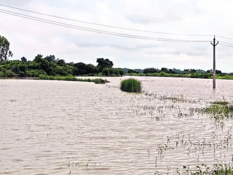 మేలుక