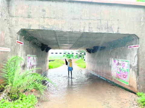 ఏటా ఇ