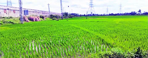 రైతుక