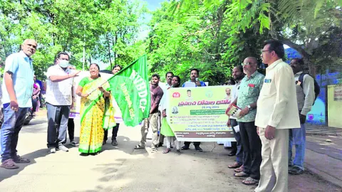 దోమలను పారదోలుదాం 