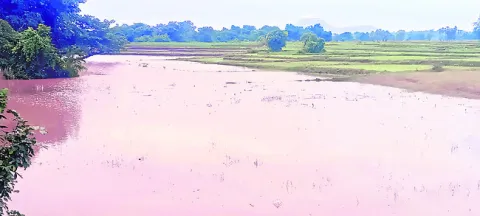 ●ముని