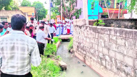 దోమల నియంత్రణతో వ్యాధుల కట్టడి 