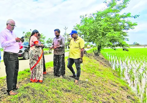 రసాయన ఎరువుల వాడకం తగ్గించాలి 