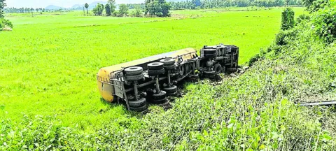 బోల్త