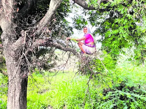 అరవై లోనూ అలవోకగా... 