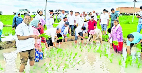 వరినాట్లు వేసిన జిల్లా కలెక్టర్‌