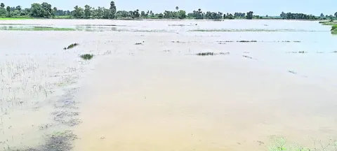 పొగురు తెచ్చిన చేటు..! 