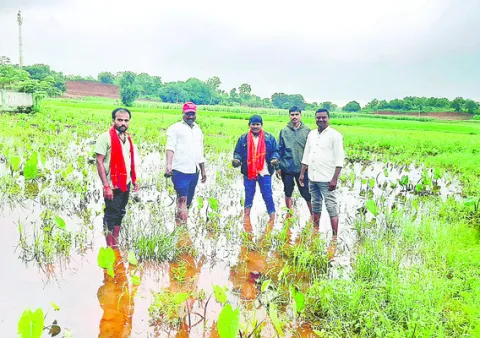 రైతులకు పరిహారం అందించాలి