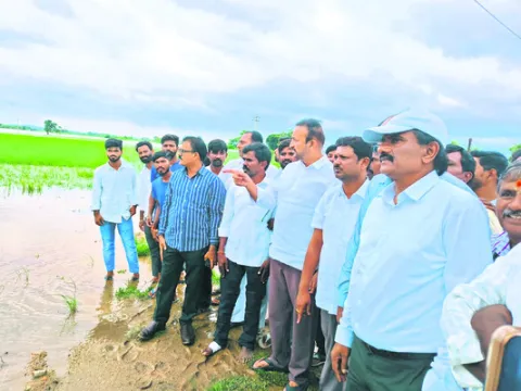 పంట నష్టపోయిన రైతులను ఆదుకుంటాం 