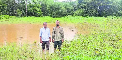 పంటలు