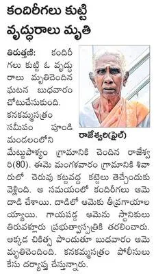 క్లుప