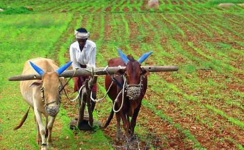 Land distribution In India special story12