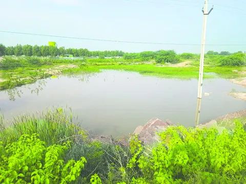 రియల్
