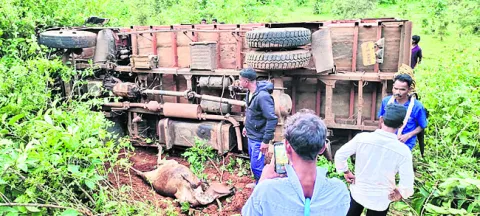 వ్యాన్‌ బోల్తా– పశువులు మృతి
