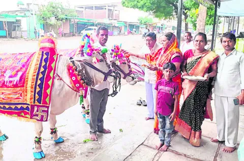 బసవన్నల పండుగ.. ‘పొలాల’