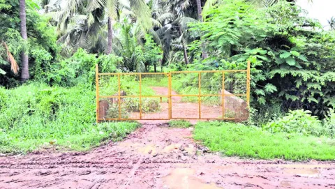 ●కాలువ గట్టు కబ్జా 