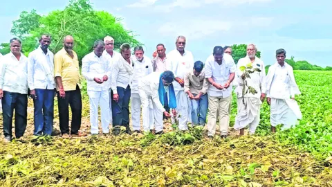 రైతులకు వెంటనే నష్టపరిహారం చెల్లించాలి 