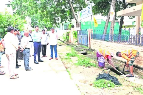 దోమలు వృద్ధి చెందకుండా చర్యలు చేపట్టాలి