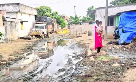 దోమల 