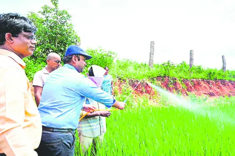 అవసరానికి మించి కొనొద్దు 