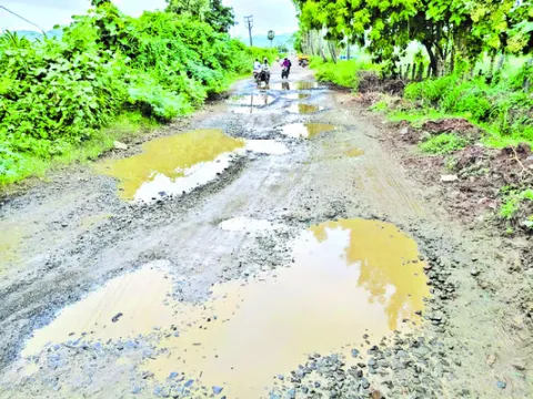 విస్త