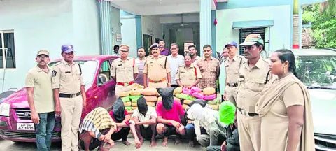 గంజాయి తరలిస్తున్న ఎనిమిది మంది అరెస్ట్‌ 