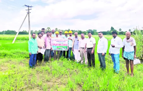 రైతులకు నాణ్యమైన విద్యుత్‌ అందించాలి