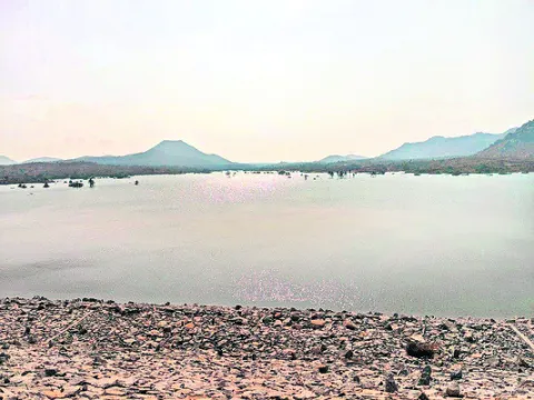 ఇదీ చెరువుల దుస్థితి 
