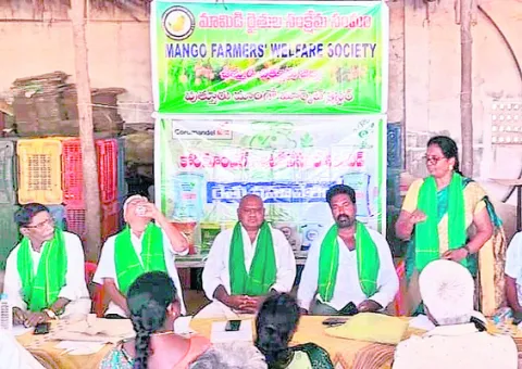 మామిడి బకాయిలు చెల్లించండి 
