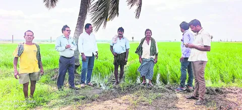 వర్షాలకు ఆందోళన వద్దు
