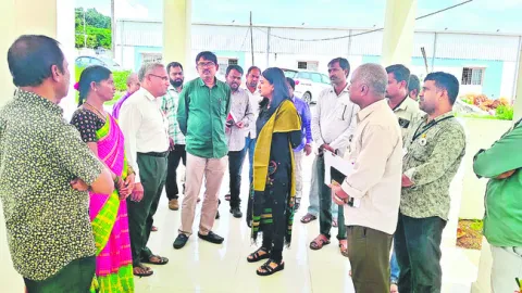 మౌలిక