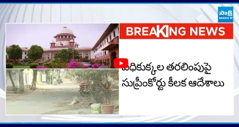 Supreme Court Key Verdict On Stray Dogs Relocation 1