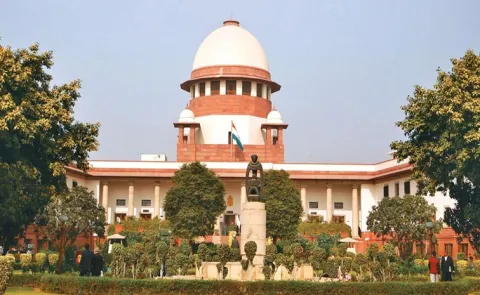 If constitutional institutions fail, the courts will do the work says SCI8